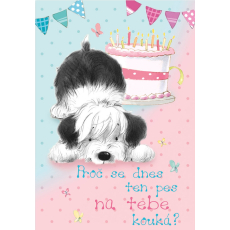Ditipo Hrací přání K narozeninám Proč se dnes ten pes na tebe kouká? Lucie Vondráčková Cizí pes 224 x 157 mm