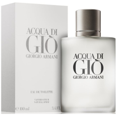 Giorgio Armani Acqua di Gio pour Homme toaletní voda pro muže 100 ml