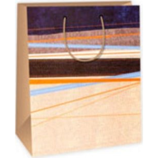 Ditipo Dárková papírová taška modro 26,4 x 13,6 x 32,7 cm hnědo oranžové vodorovné pruhy DAB