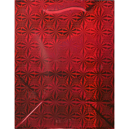 Nekupto Dárková papírová taška hologram 32 x 26 x 13 cm Červená 050 30 THL