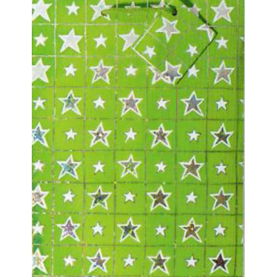 Nekupto Dárková papírová taška hologram 23 x 18 x 10 cm Vánoční, zelená, 016 50 GM