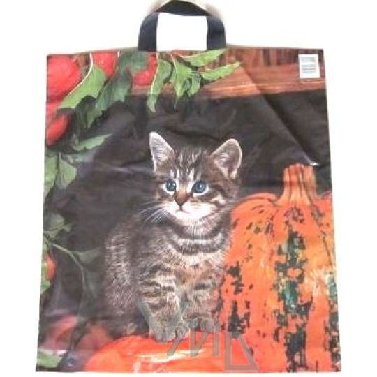 Press Igelitová taška 45 x 50 cm Kočka 1 kus