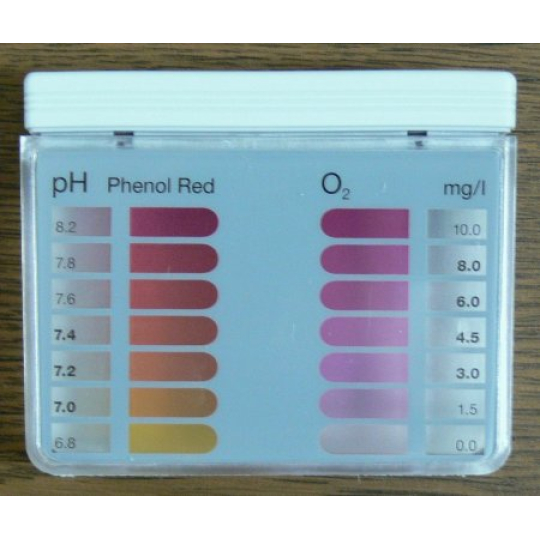 Probazen Tester pro zjištění jak upravit vodu v bazénech - pH, Chlor