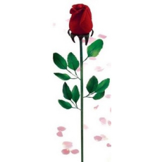 Růže aromatizovaná z hedvábného peří Princes červená 1 kus