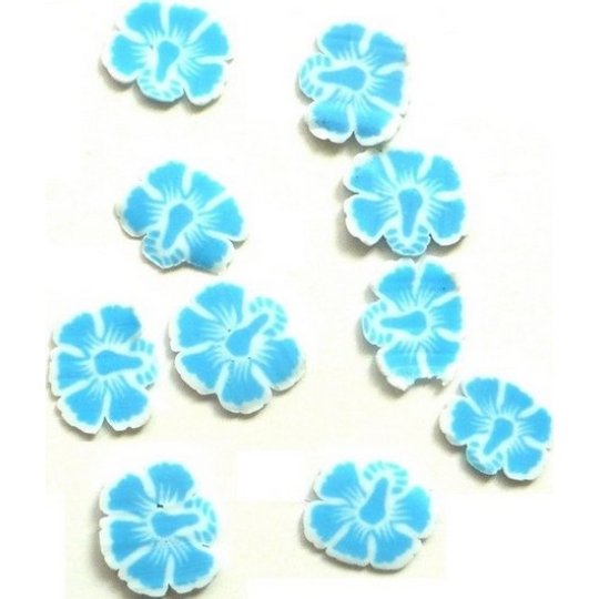 Professional Ozdoby na nehty květiny modro-bílé 132 1 balení